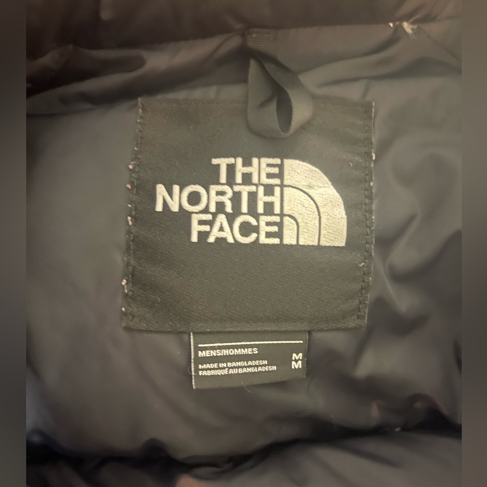The north face vest